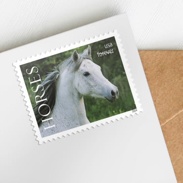 Horses Stamps - 100 Pcs