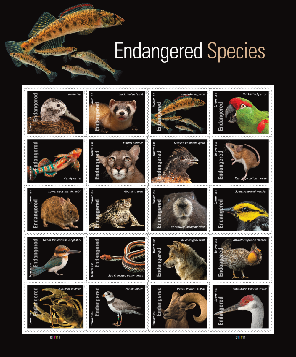 Endangered Species - 100 Pcs