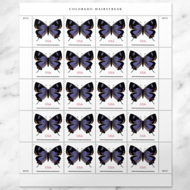 Colorado Hairstreak Stamps - 100 Pcs