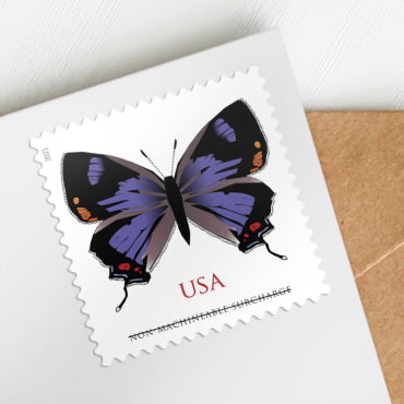 Colorado Hairstreak Stamps - 100 Pcs
