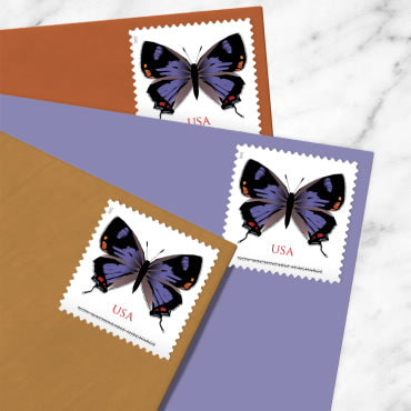 Colorado Hairstreak Stamps - 100 Pcs