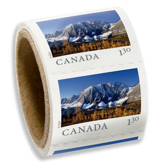 National Park - 100 Pcs