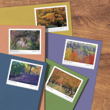 Autumn Colors Stamps - 100 Pcs