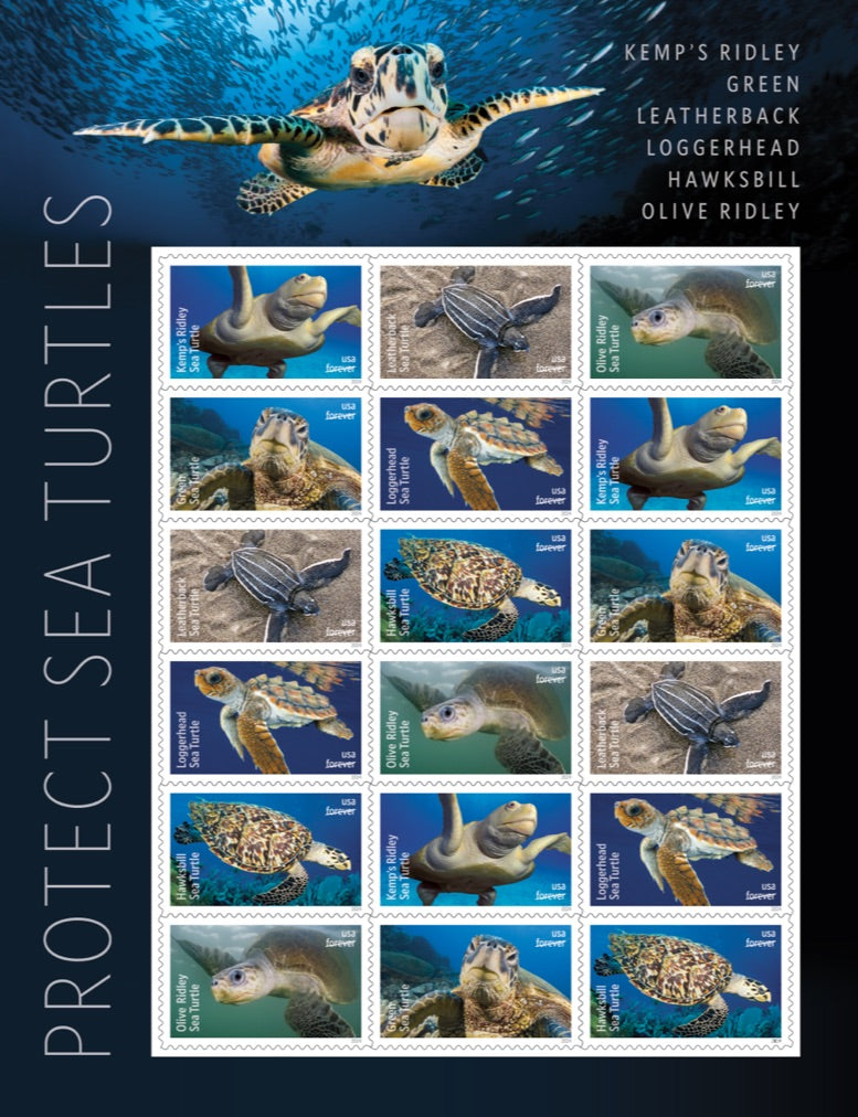 Protect Sea Turtles Stamps - 100 Pcs