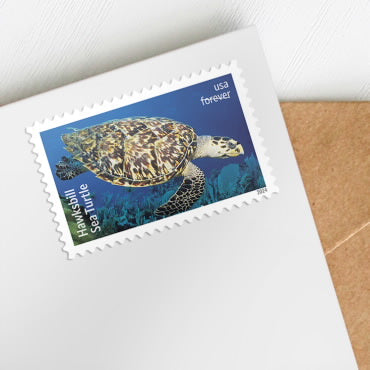 Protect Sea Turtles Stamps - 100 Pcs