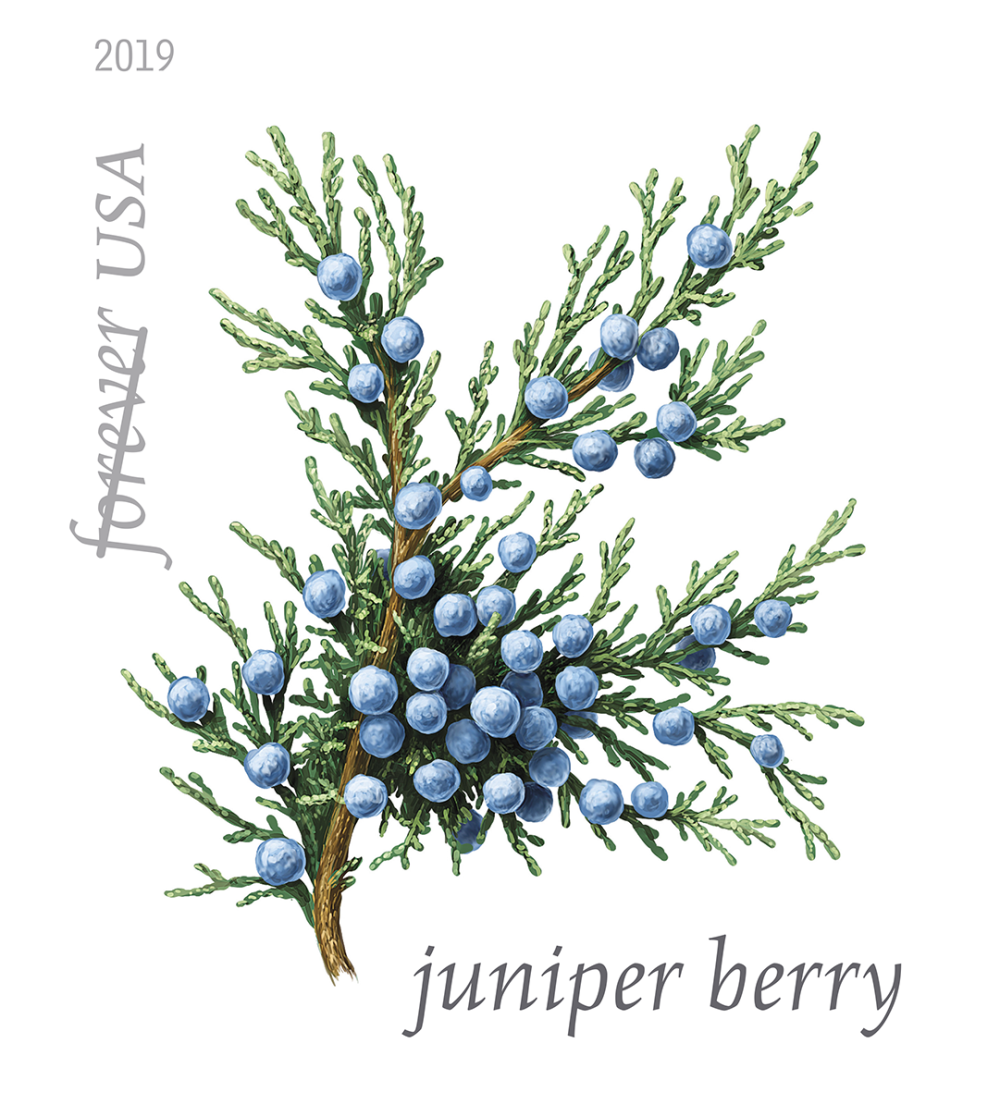 Winter Berries - 100 Pcs