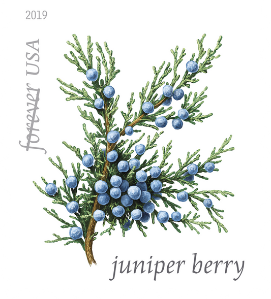 Winter Berries - 100 Pcs