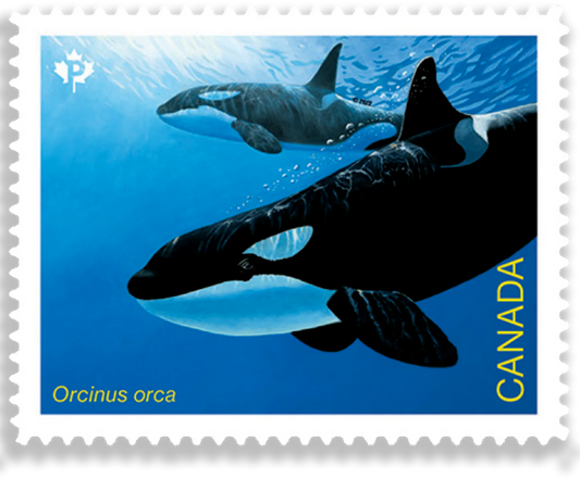 Endangered Whale - 100 Pcs