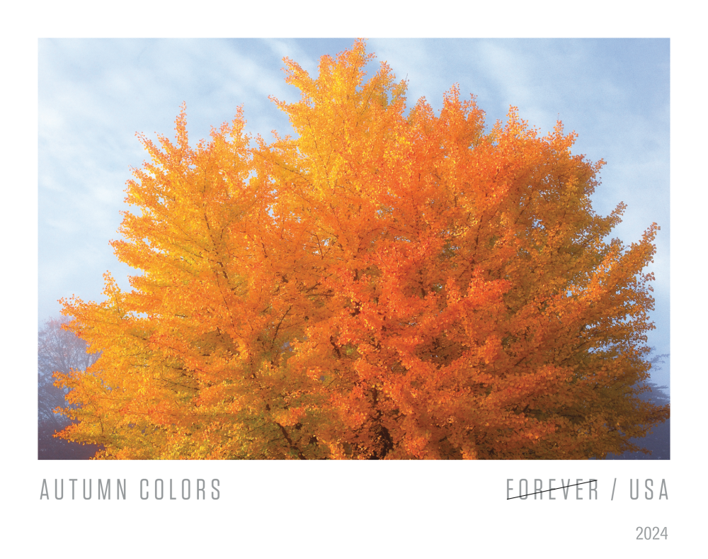 Autumn Colors Stamps - 100 Pcs