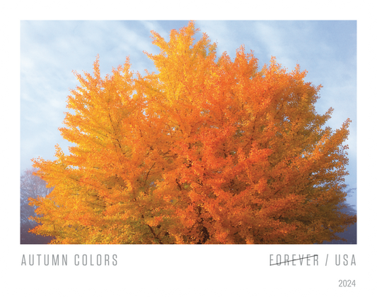 Autumn Colors Stamps - 100 Pcs