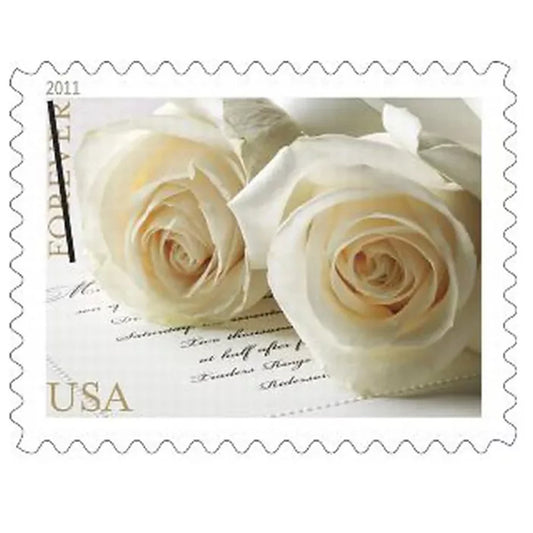 Wedding Roses - 100 Pcs