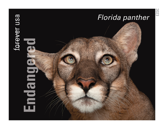 Endangered Species - 100 Pcs