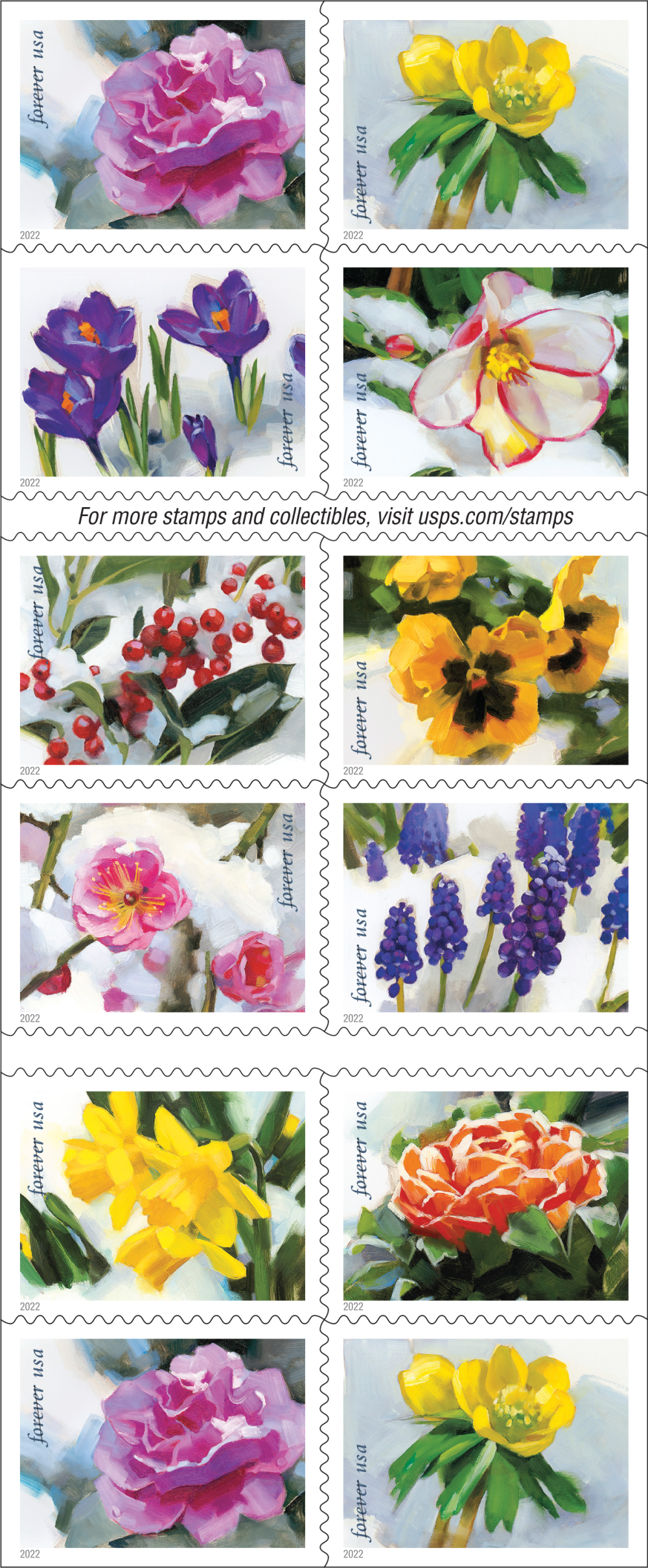 Snowy Beauty - 100 Pcs