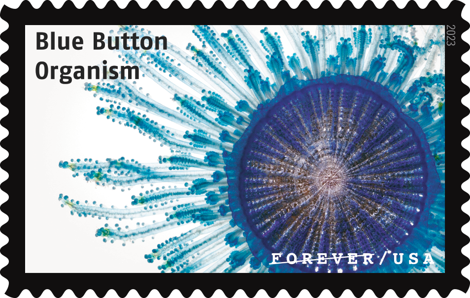 Life Magnified Stamps - 100 Pcs