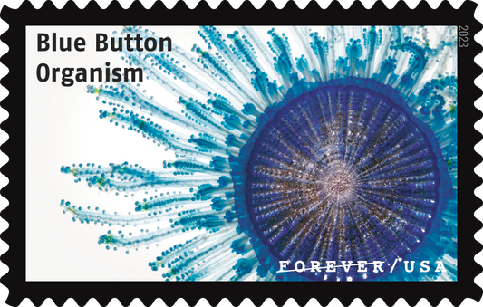 Life Magnified Stamps - 100 Pcs