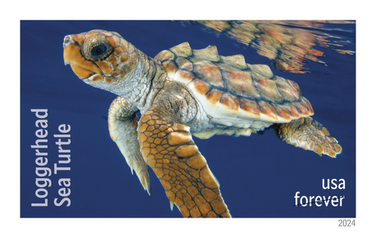 Protect Sea Turtles Stamps - 100 Pcs