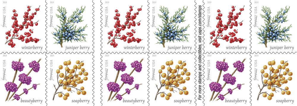 Winter Berries - 100 Pcs
