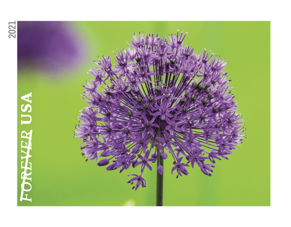 Garden Beauty Stamps - 100 Pcs