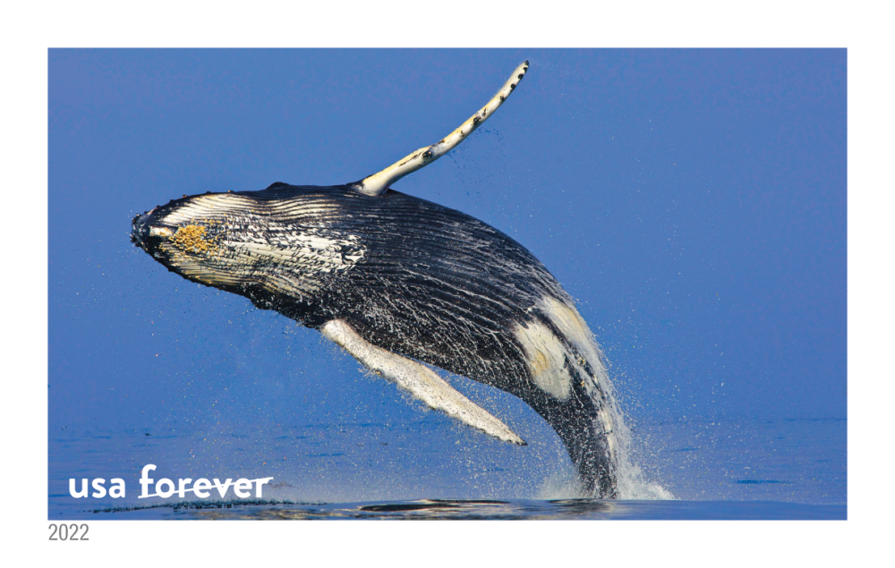 National Marine Sanctuaries - 160 Pcs