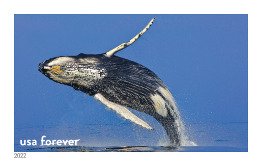 National Marine Sanctuaries - 160 Pcs