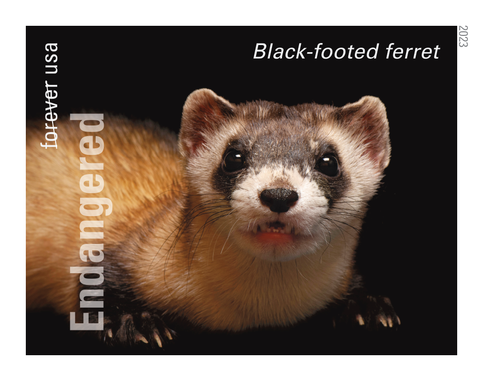 Endangered Species - 100 Pcs