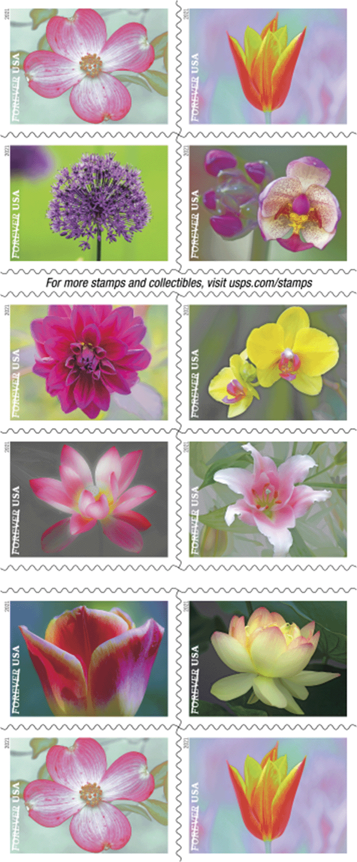 Garden Beauty Stamps - 100 Pcs