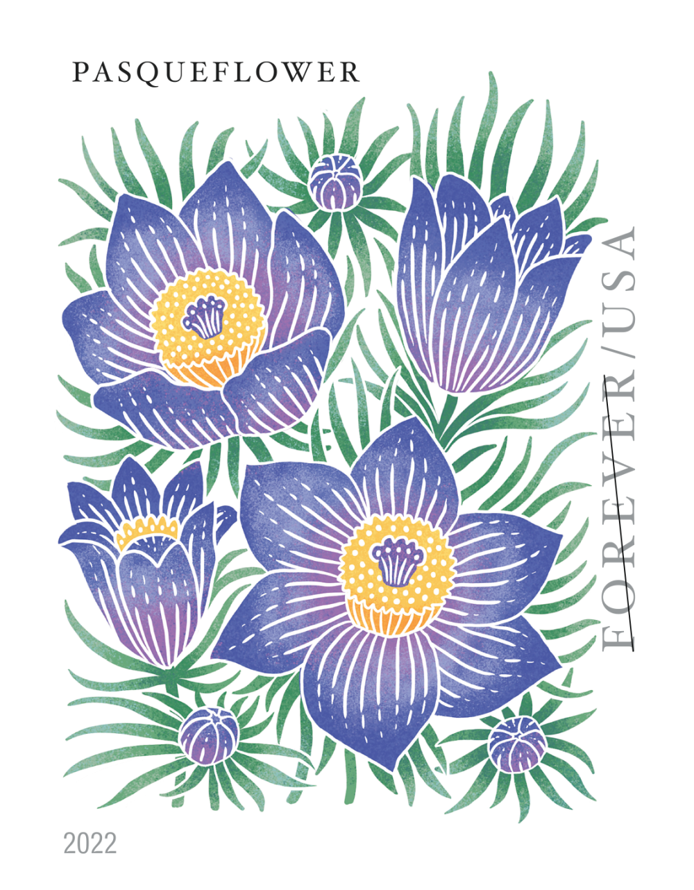 Mountain Flora - 100 Pcs