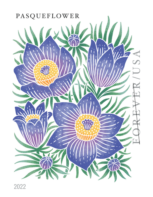 Mountain Flora - 100 Pcs