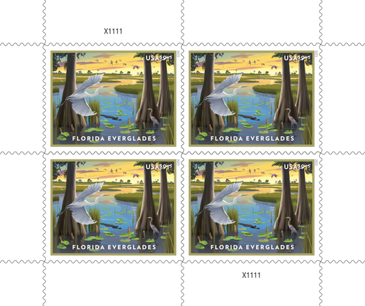 Florida Everglades - 40 Pcs