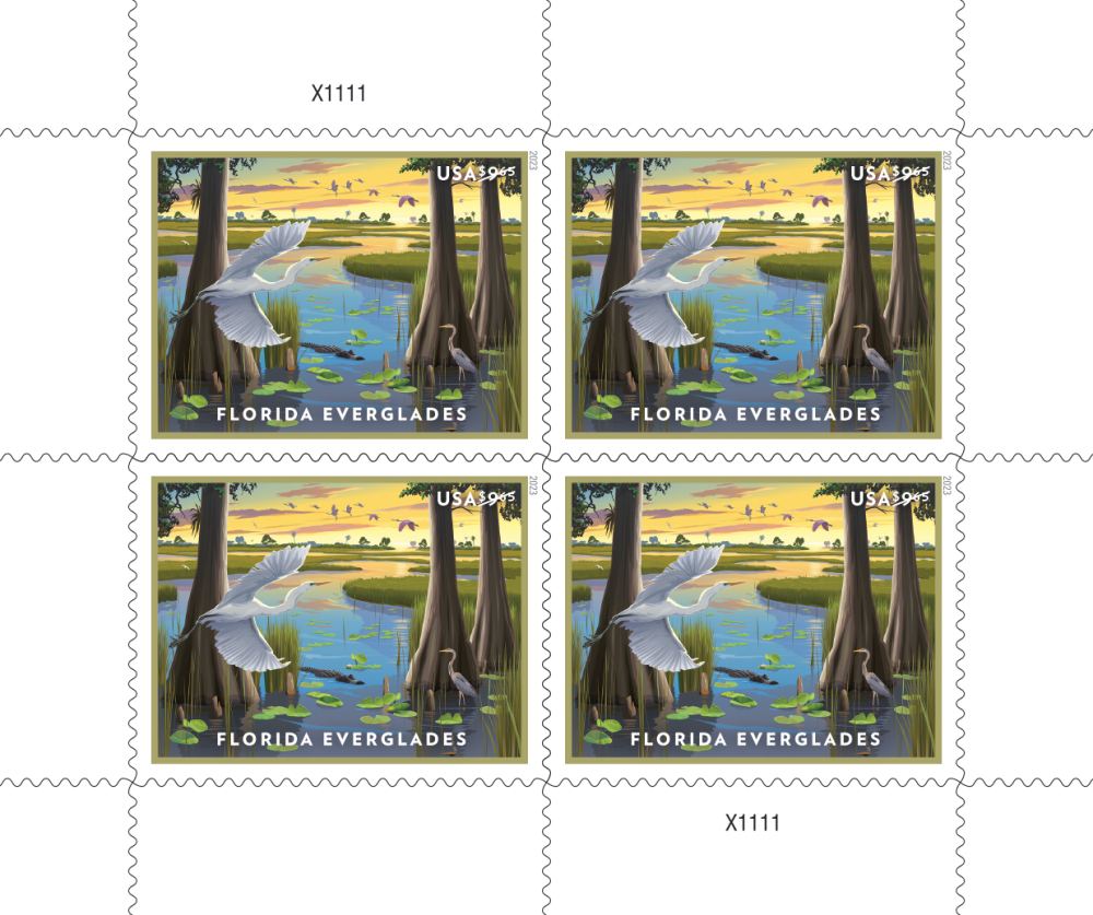 Florida Everglades - 40 Pcs