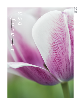 Tulip Blossoms Stamps - 100 Pcs