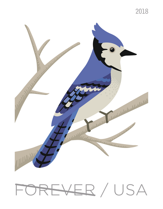 Birds in Winter - 100 Pcs